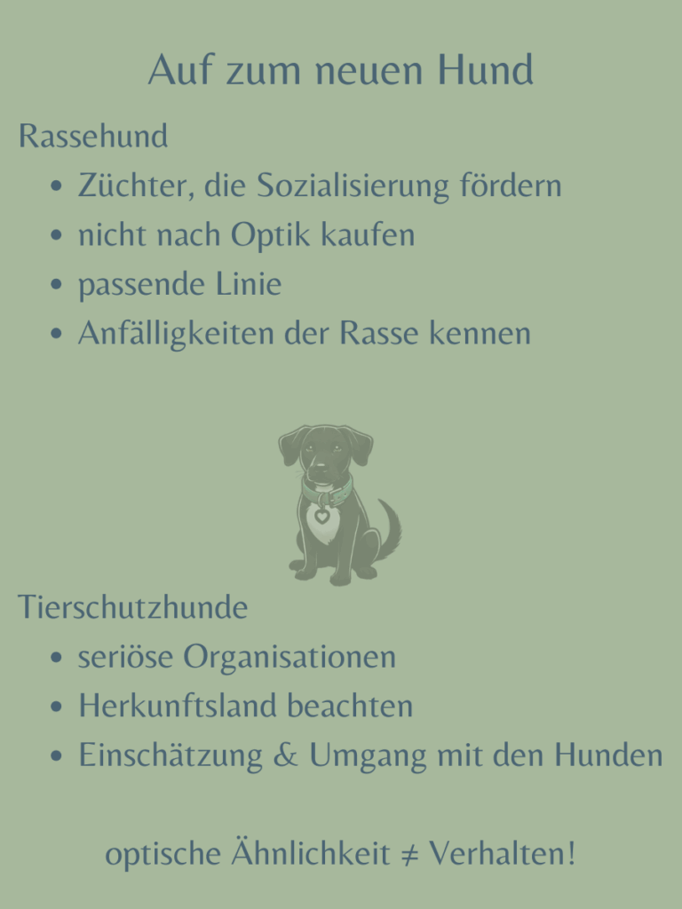 Der Weg zum neuen Hund: diese Kriterien helfen bei der Wahl des Züchters oder der Tierschutzorganisation