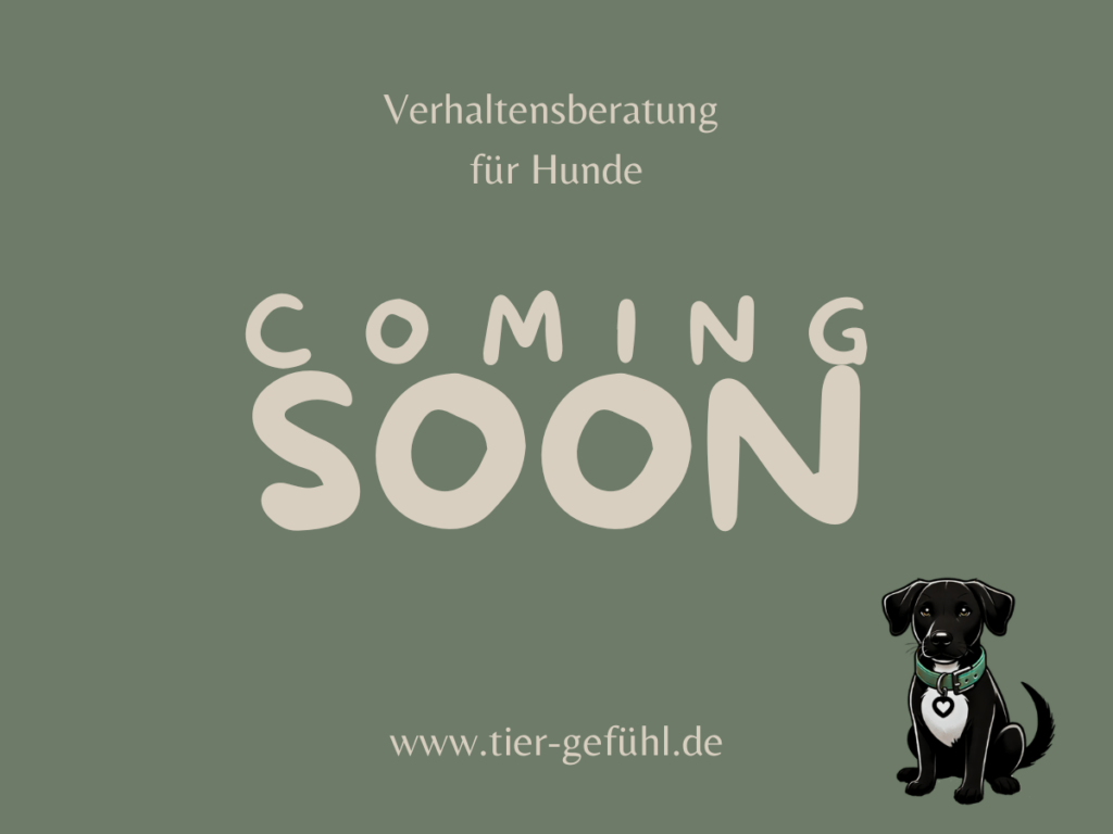 Coming Soon Teaser TierGefühl